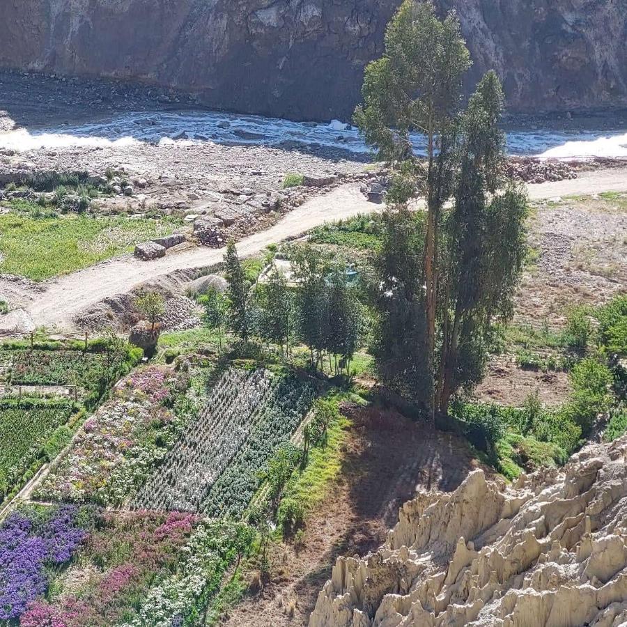 Colibri Eco Lodge & Camping La Paz Luaran gambar